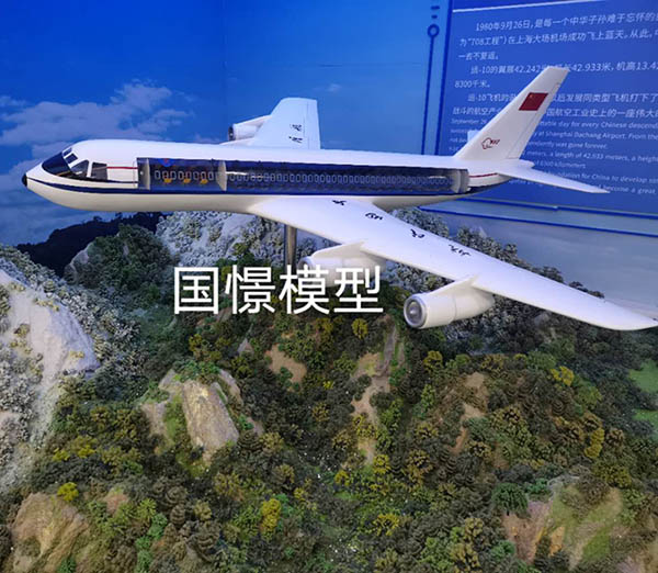 八宿县飞机模型